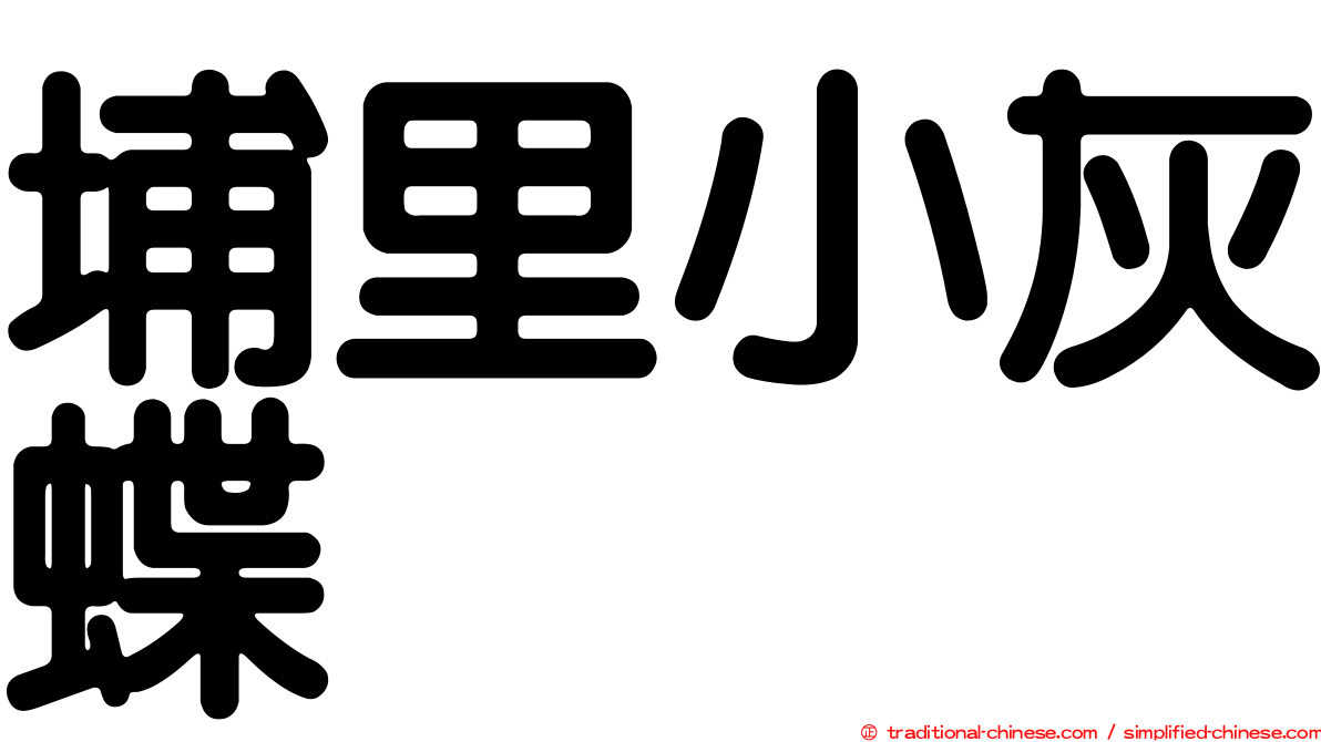 埔里小灰蝶