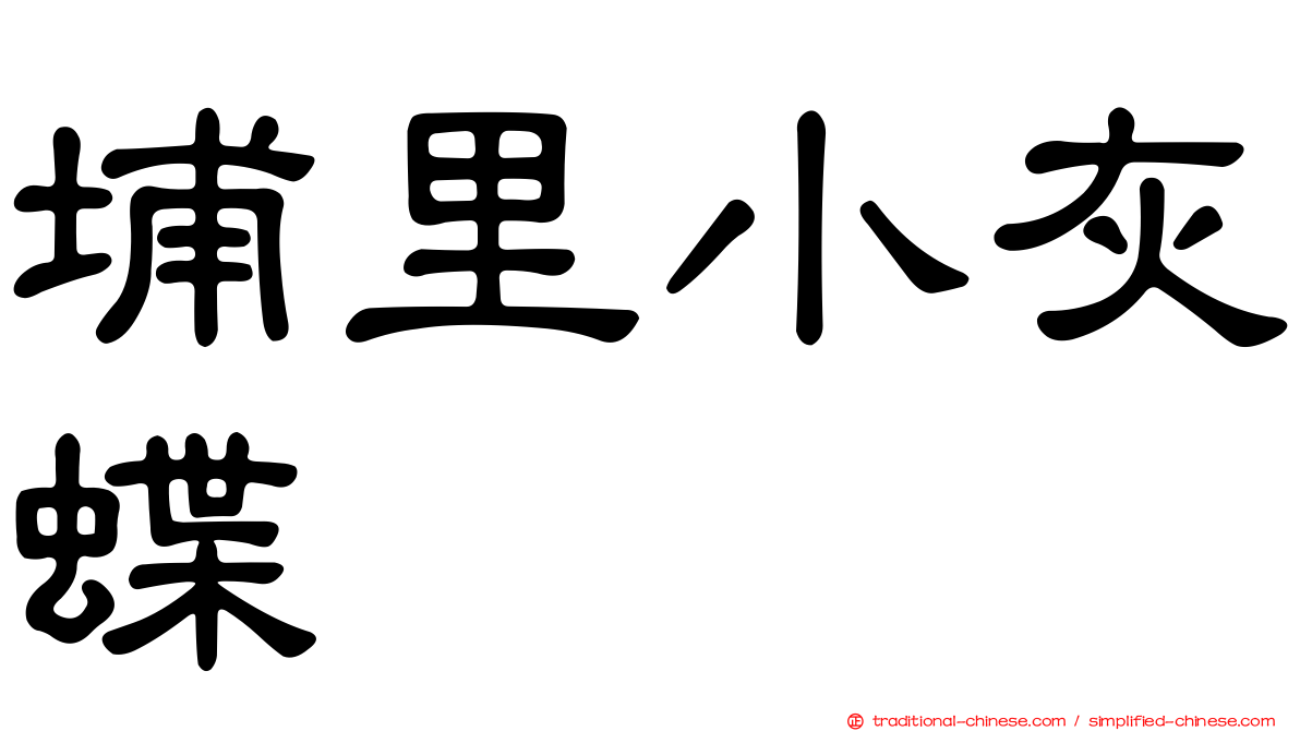 埔里小灰蝶