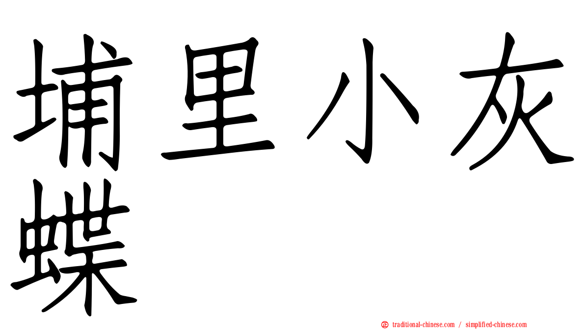 埔里小灰蝶