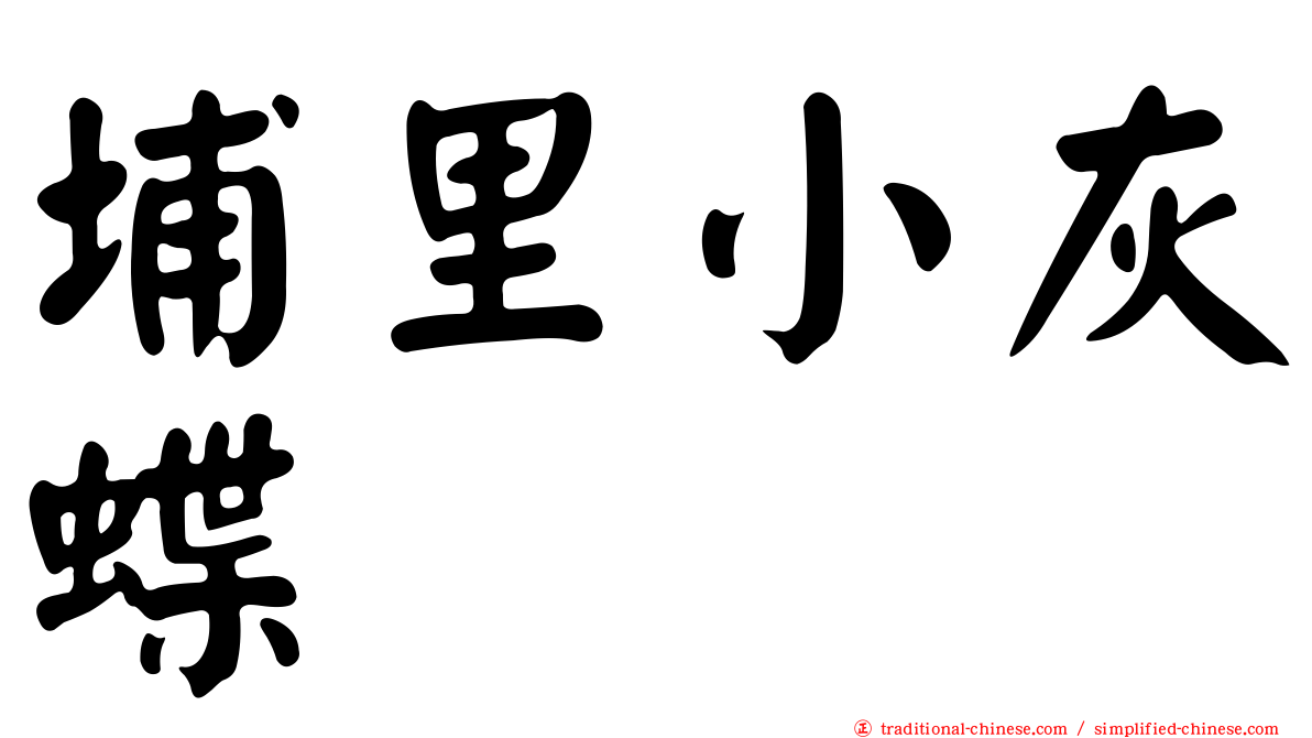 埔里小灰蝶