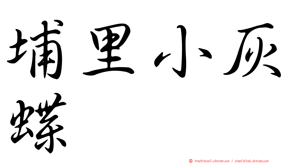 埔里小灰蝶