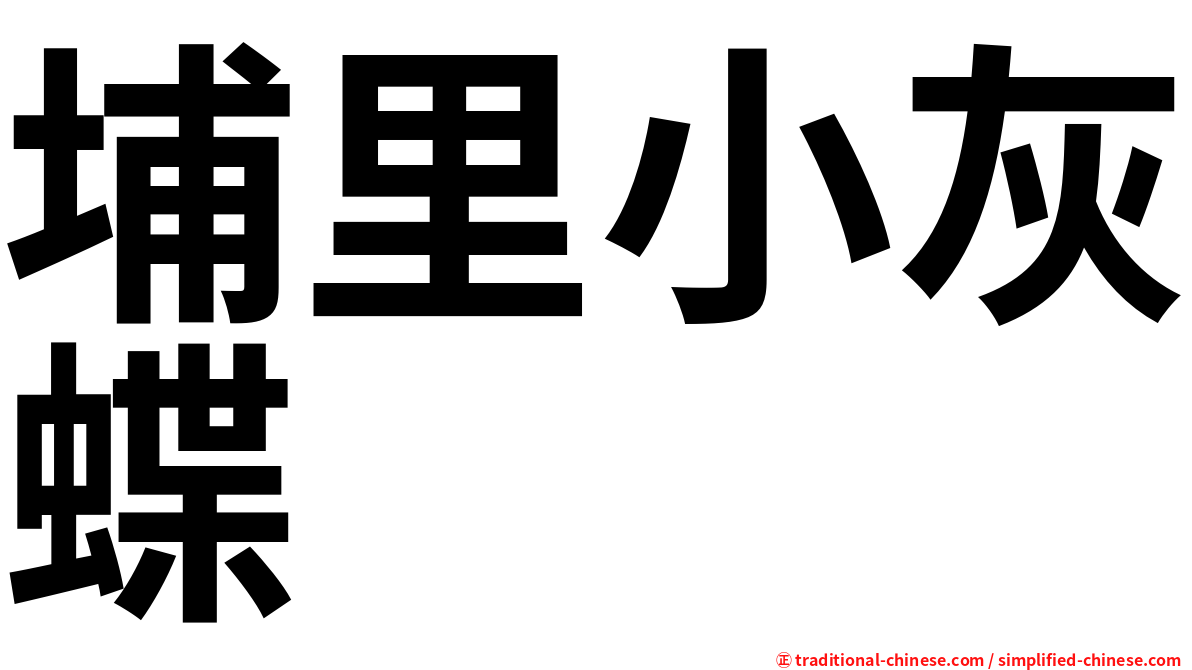 埔里小灰蝶