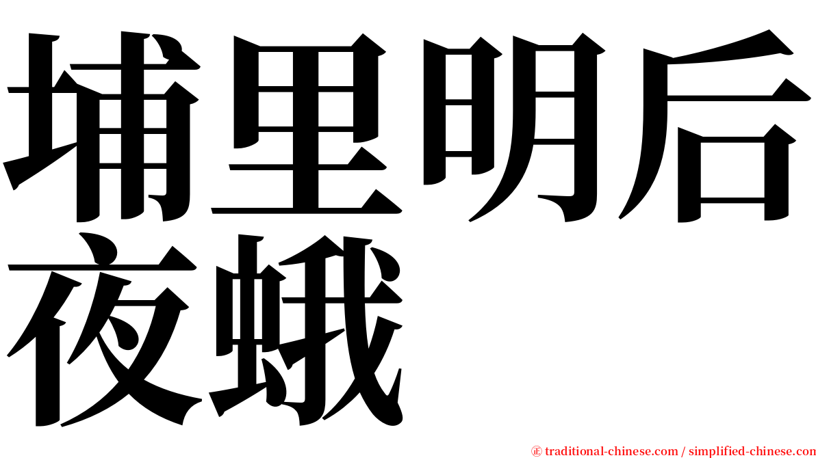 埔里明后夜蛾 serif font