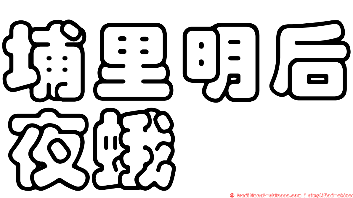 埔里明后夜蛾