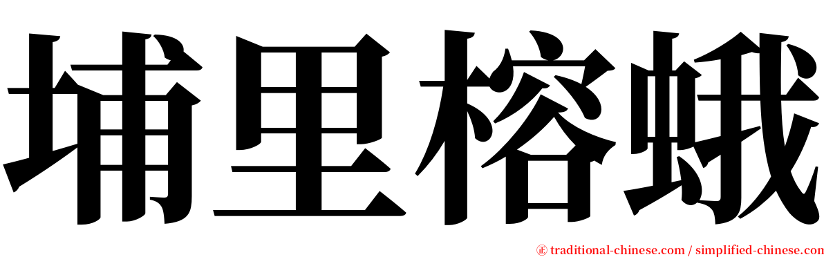 埔里榕蛾 serif font