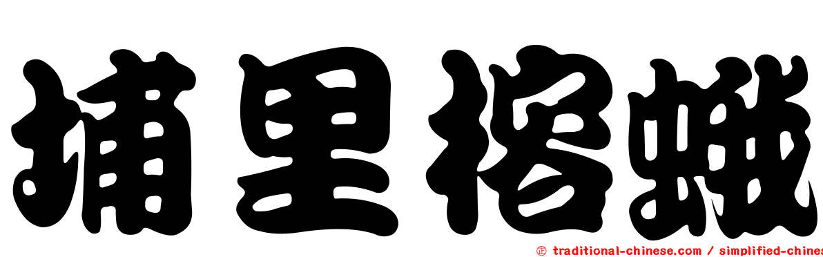 埔里榕蛾