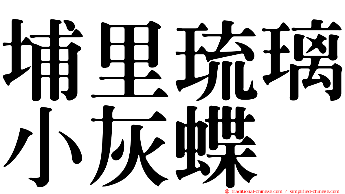埔里琉璃小灰蝶