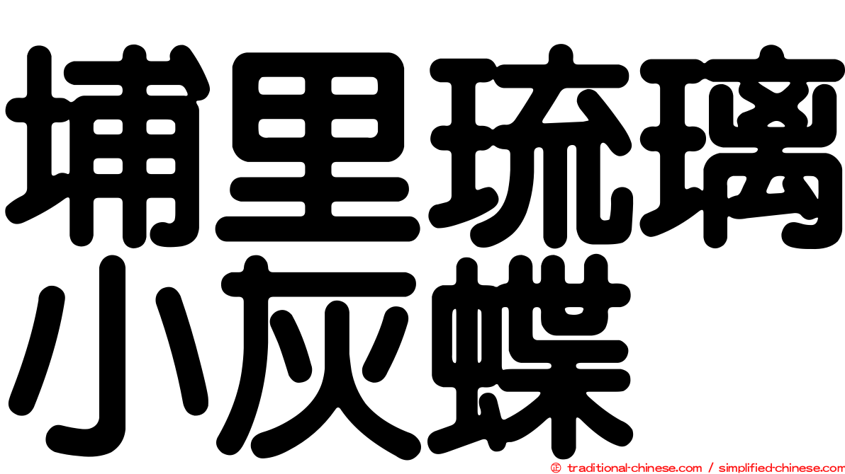 埔里琉璃小灰蝶