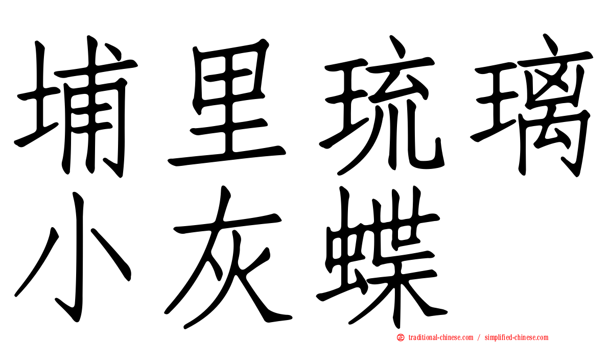 埔里琉璃小灰蝶