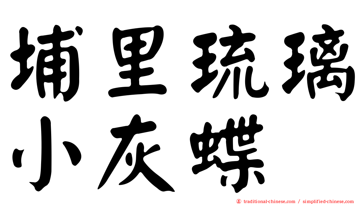 埔里琉璃小灰蝶