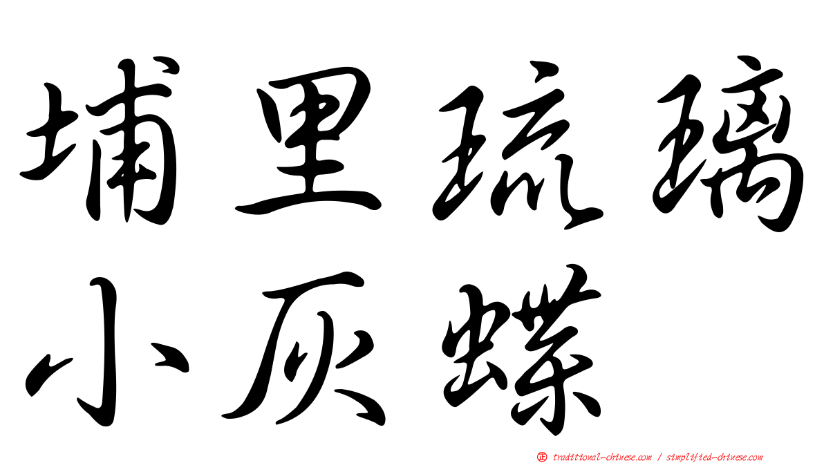 埔里琉璃小灰蝶
