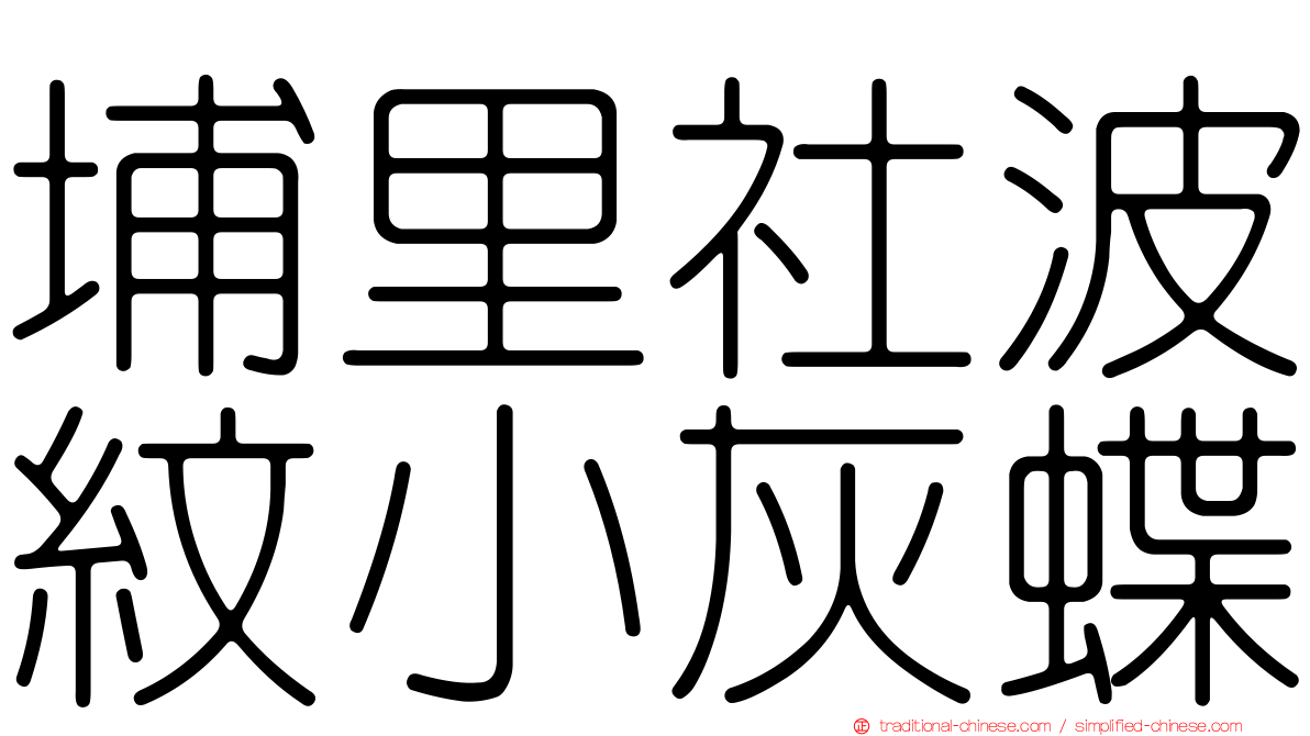 埔里社波紋小灰蝶