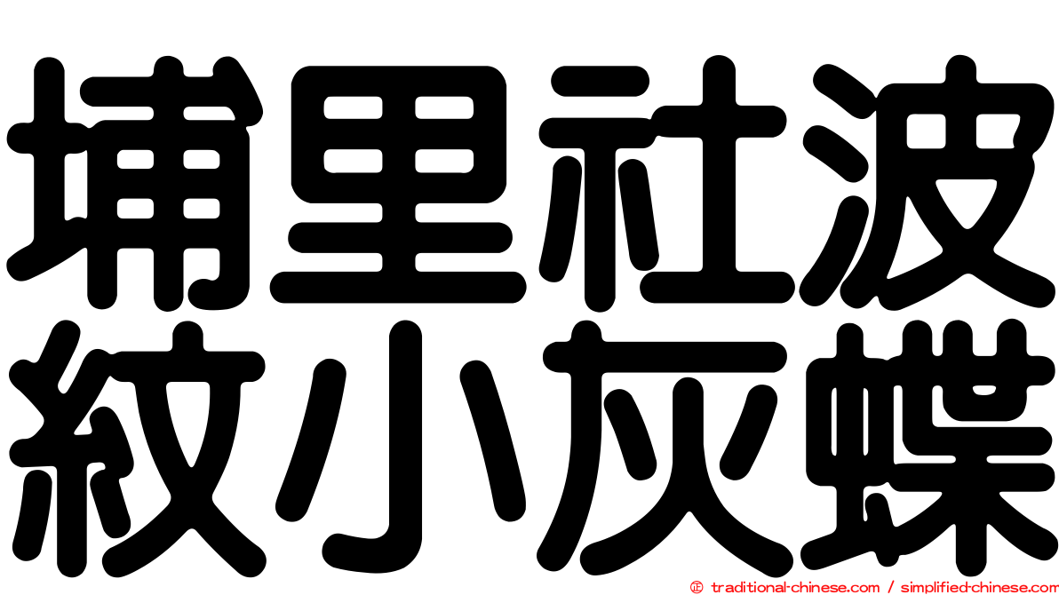 埔里社波紋小灰蝶
