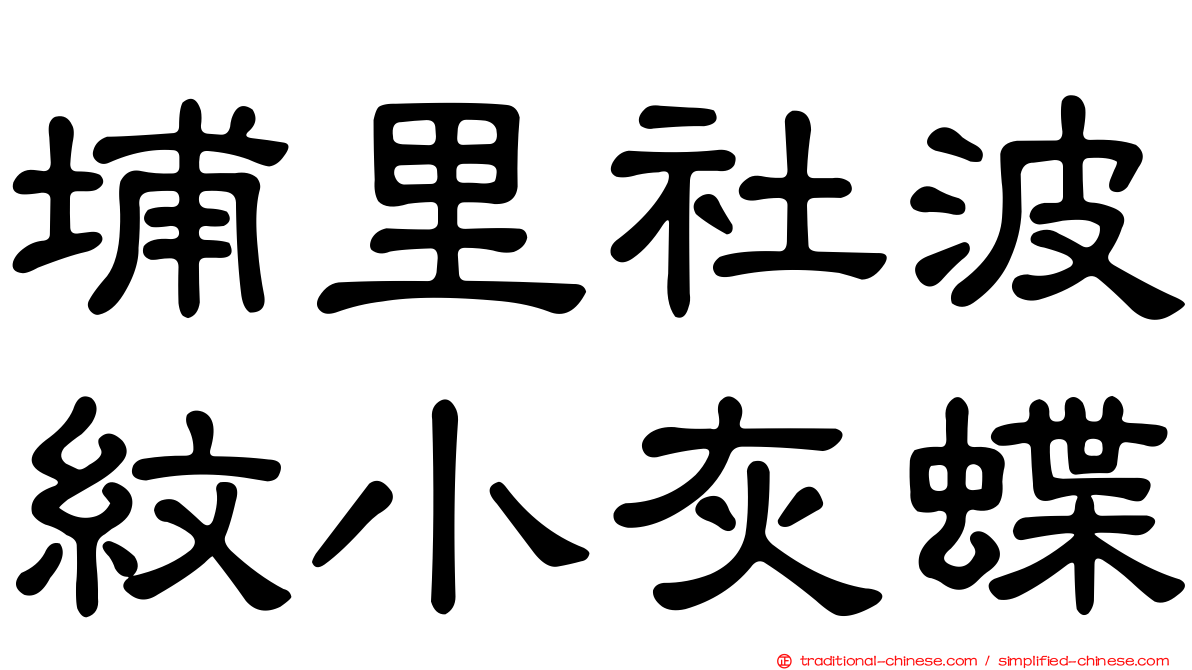 埔里社波紋小灰蝶