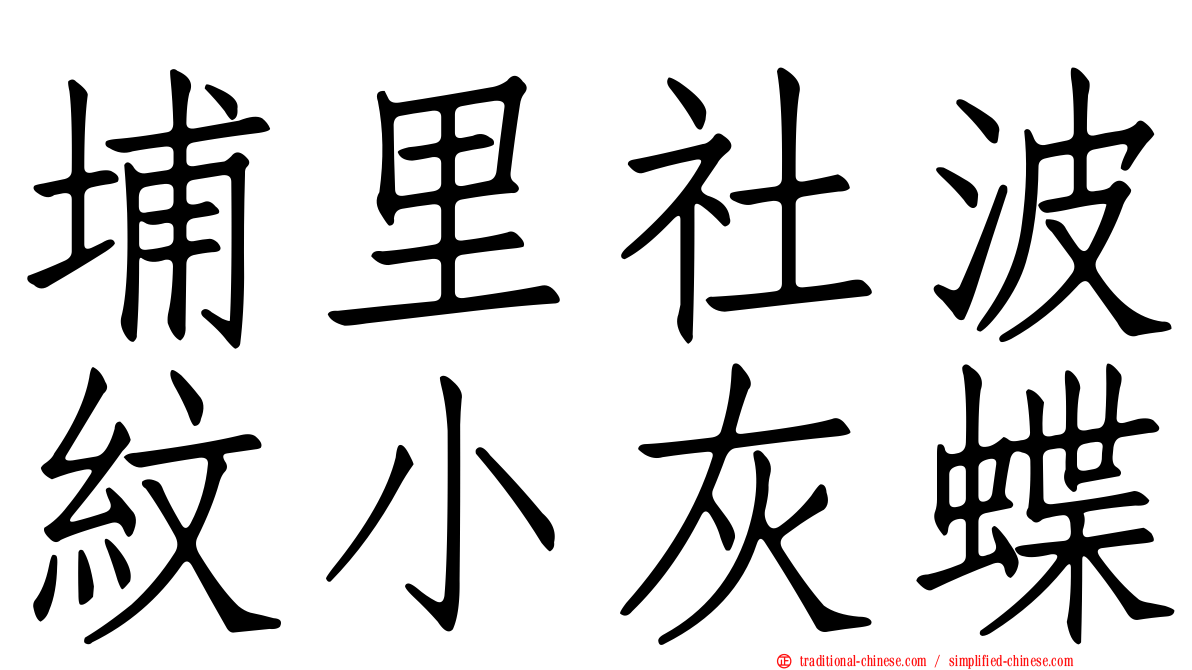 埔里社波紋小灰蝶
