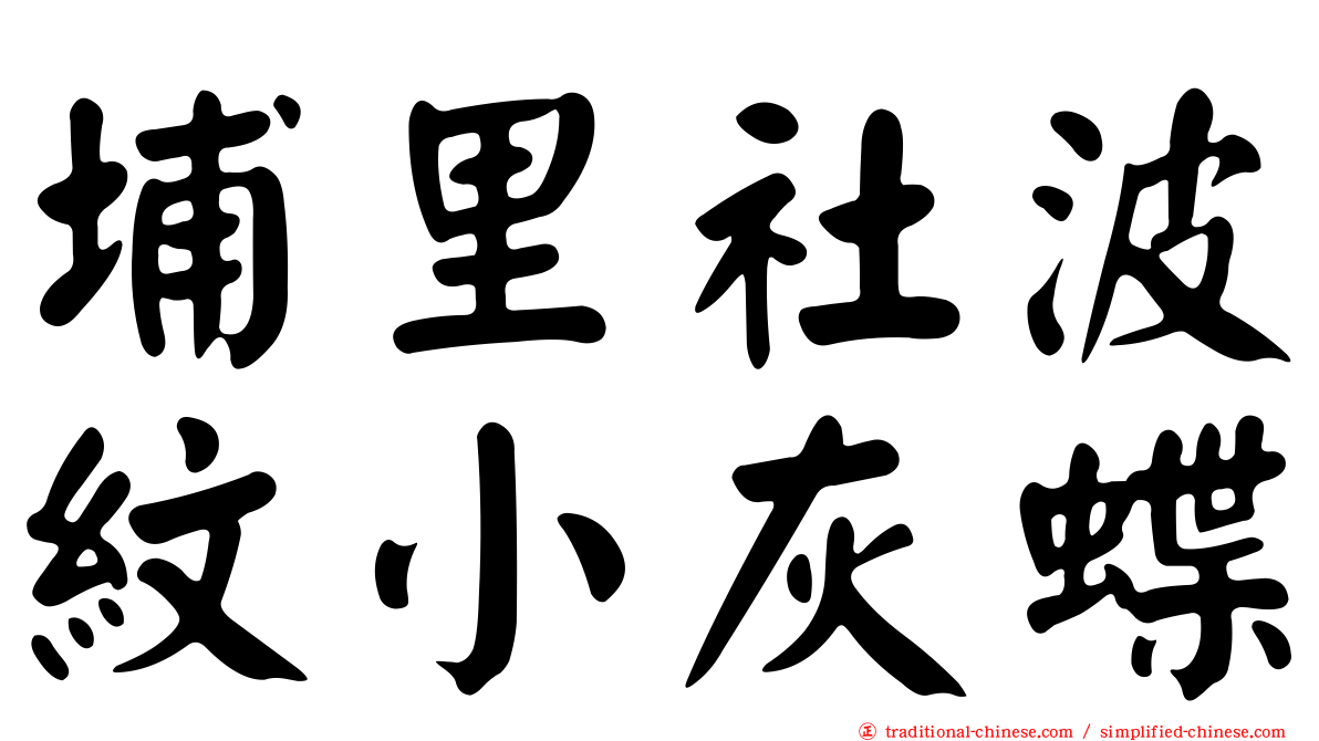 埔里社波紋小灰蝶