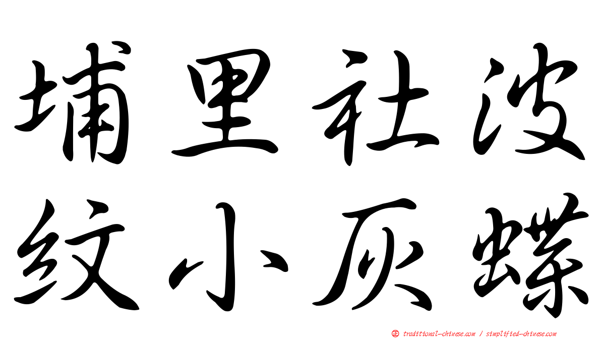 埔里社波紋小灰蝶
