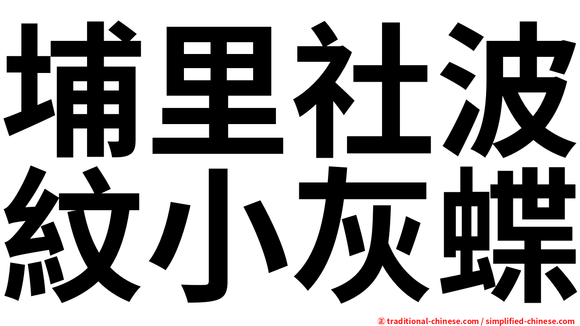 埔里社波紋小灰蝶