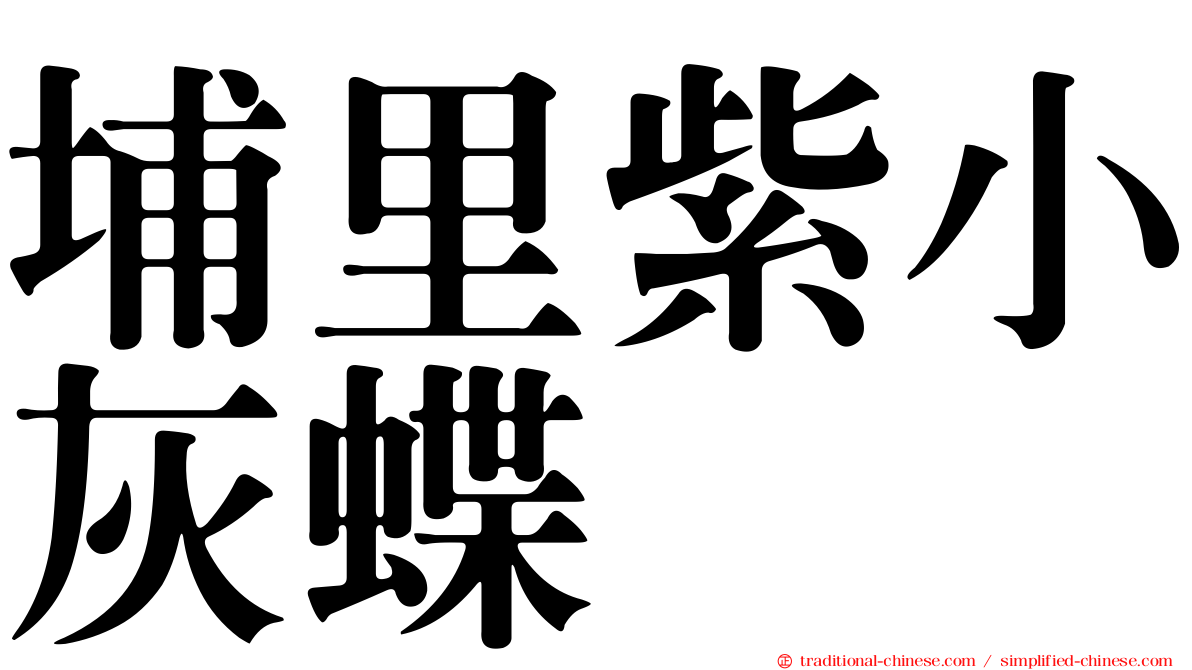 埔里紫小灰蝶
