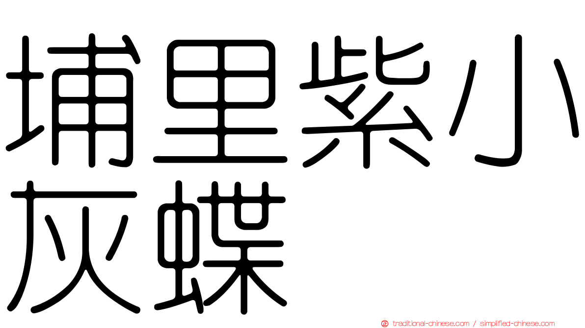 埔里紫小灰蝶