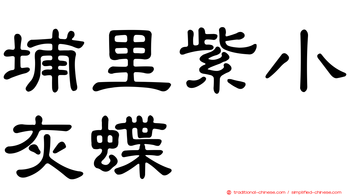 埔里紫小灰蝶