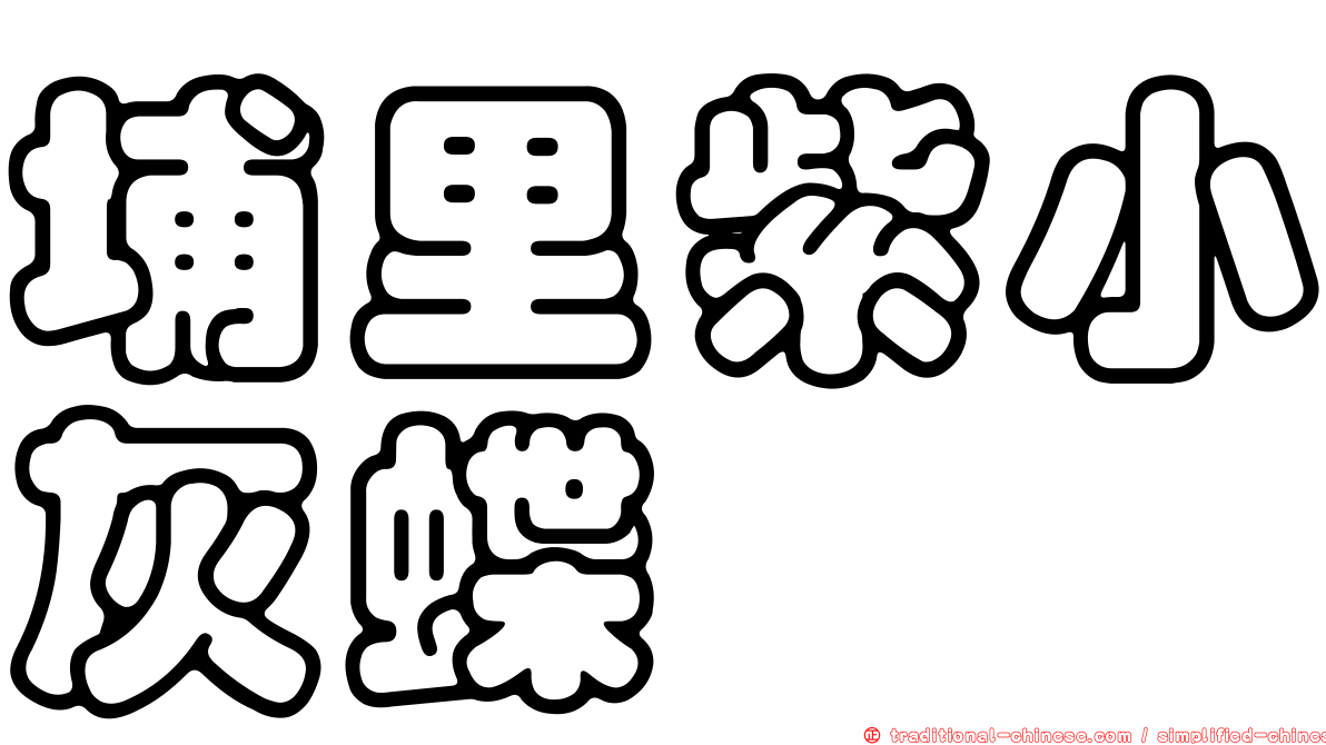 埔里紫小灰蝶