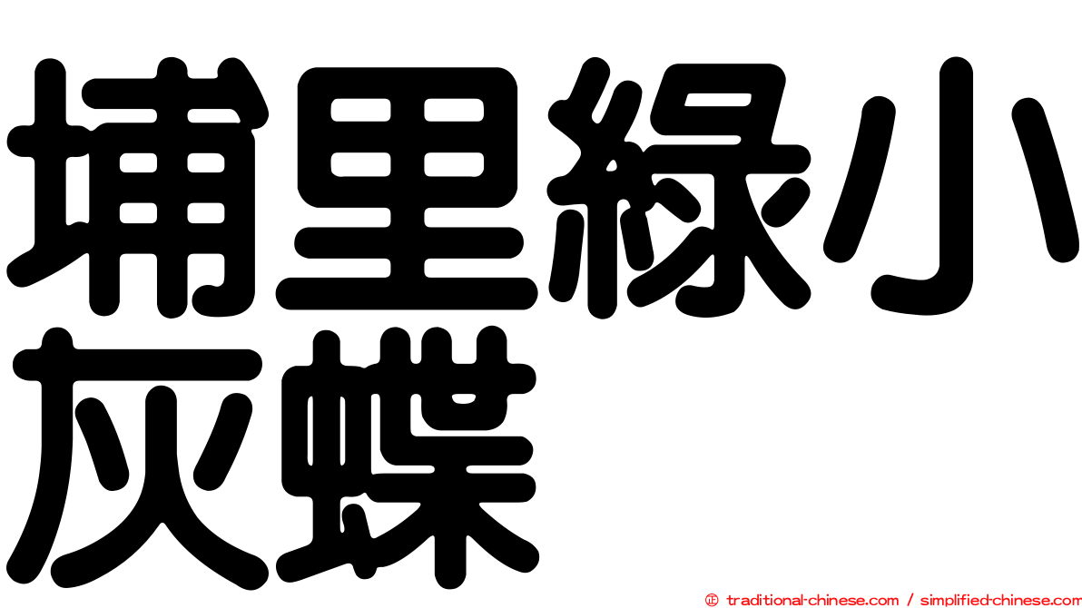 埔里綠小灰蝶