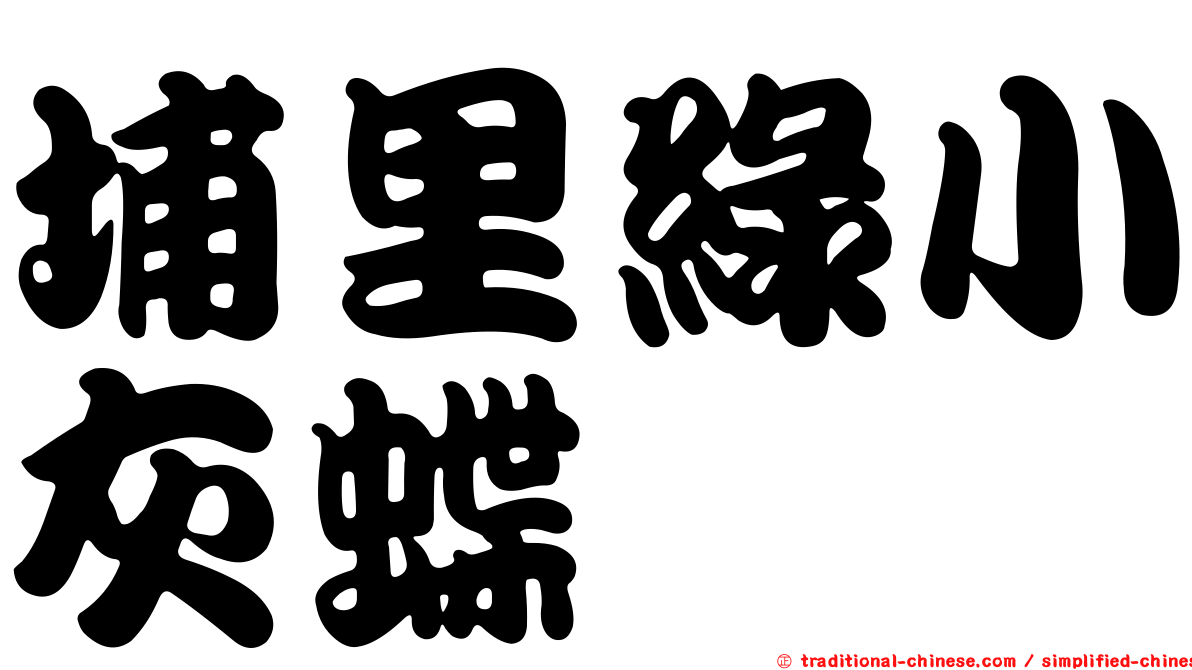 埔里綠小灰蝶