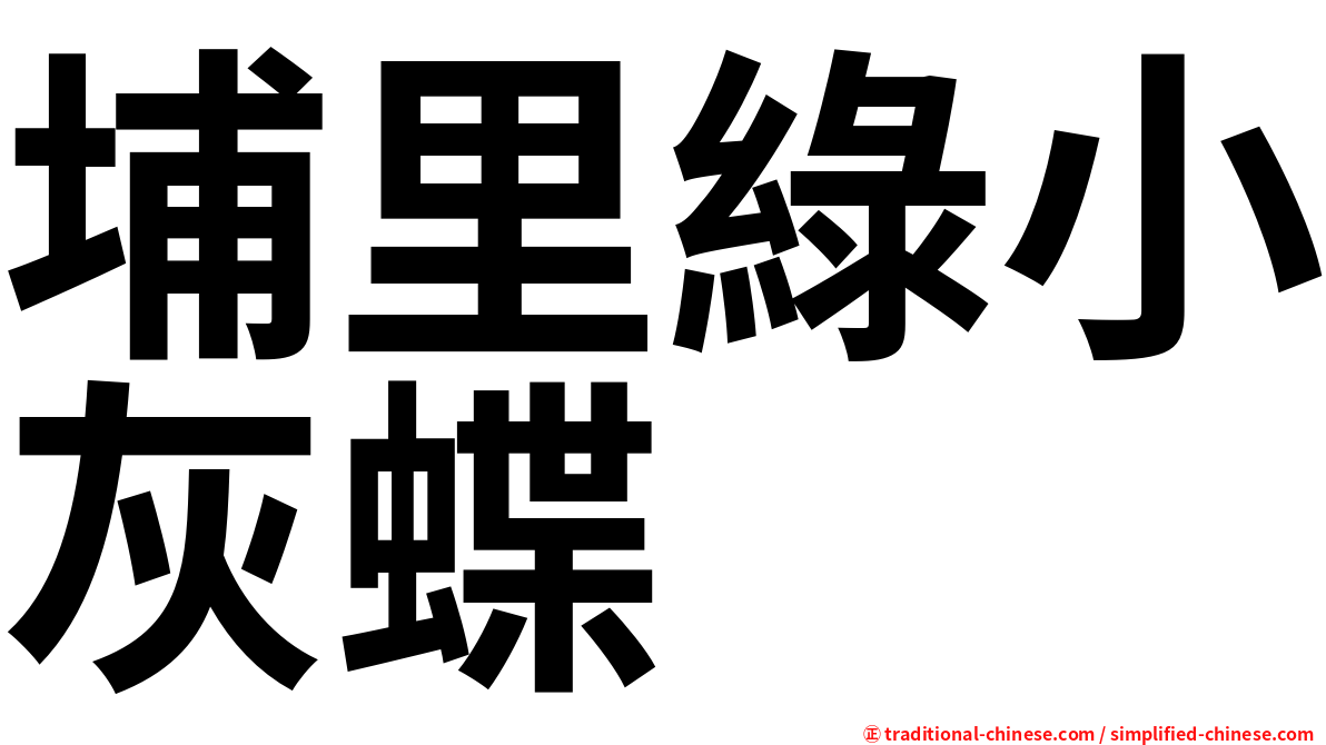 埔里綠小灰蝶