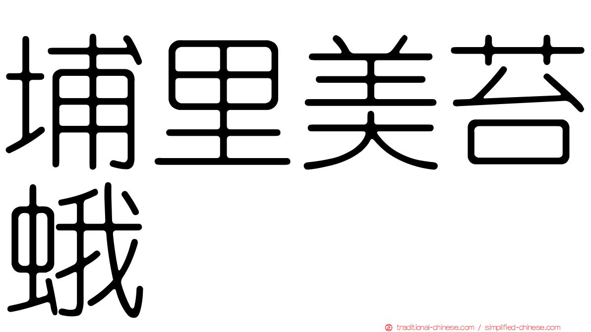 埔里美苔蛾