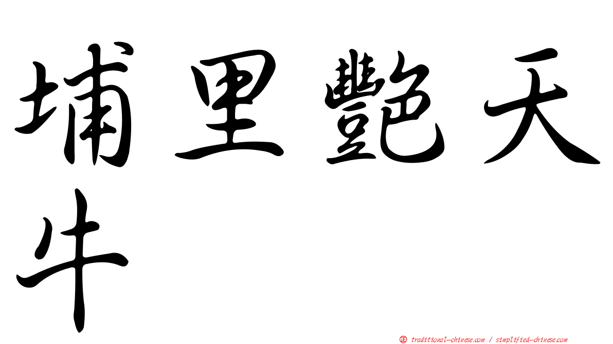 埔里艷天牛
