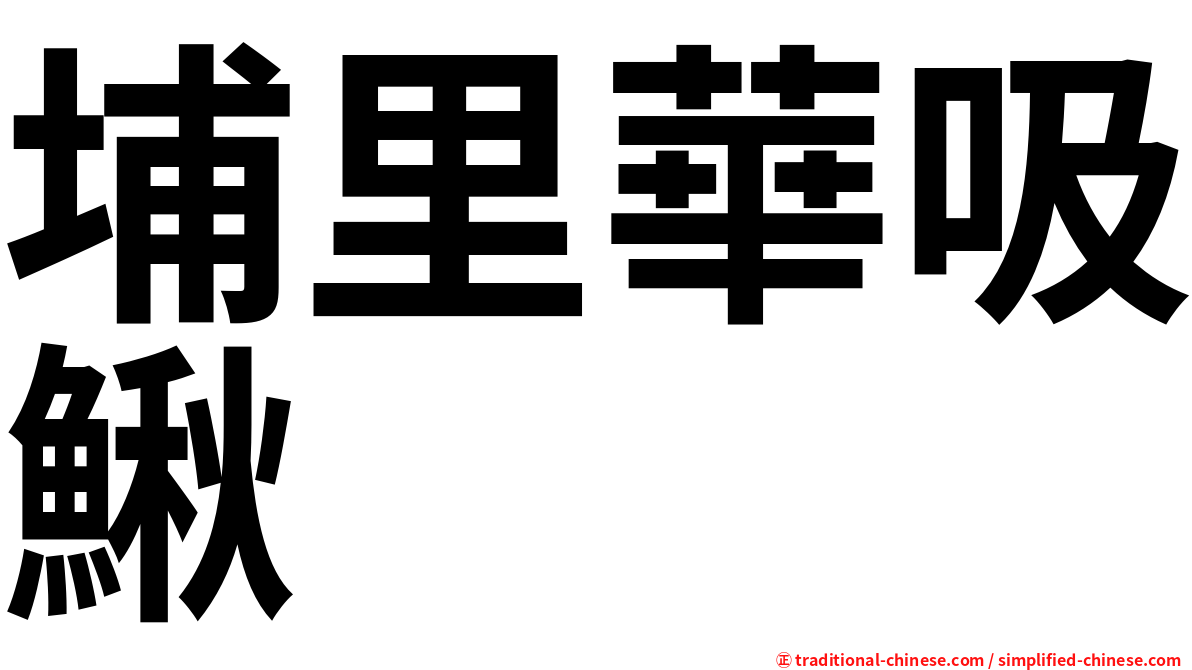 埔里華吸鰍
