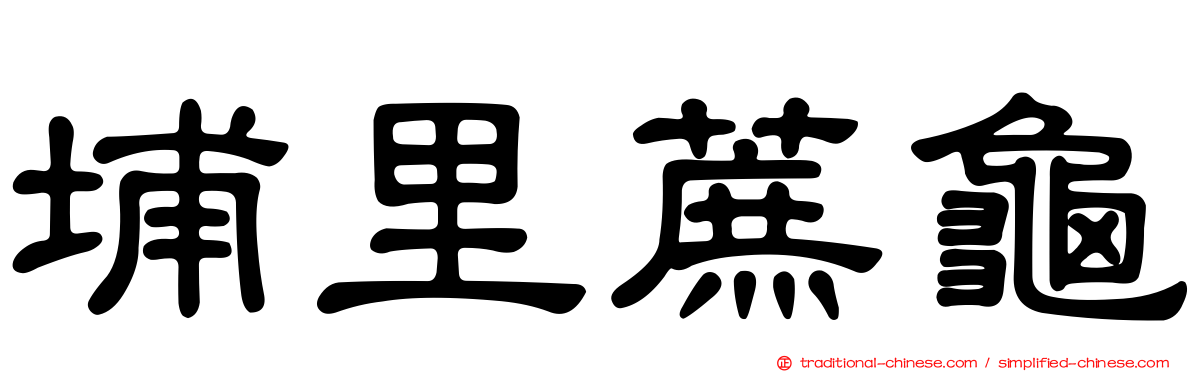 埔里蔗龜