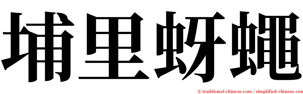 埔里蚜蠅 serif font