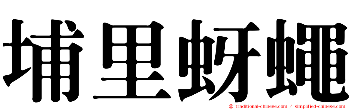 埔里蚜蠅