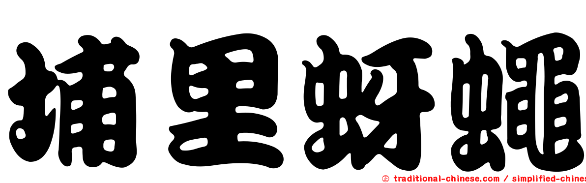 埔里蚜蠅