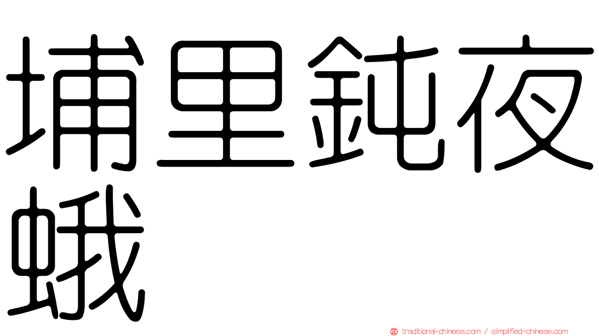 埔里鈍夜蛾