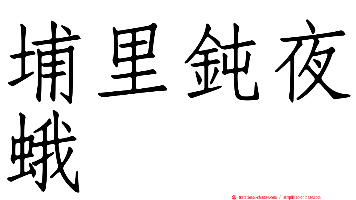 埔里鈍夜蛾