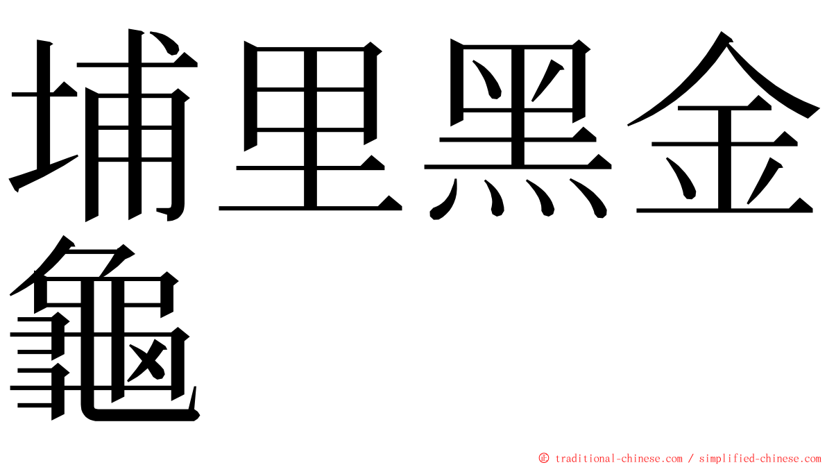 埔里黑金龜 ming font