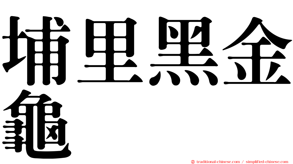 埔里黑金龜