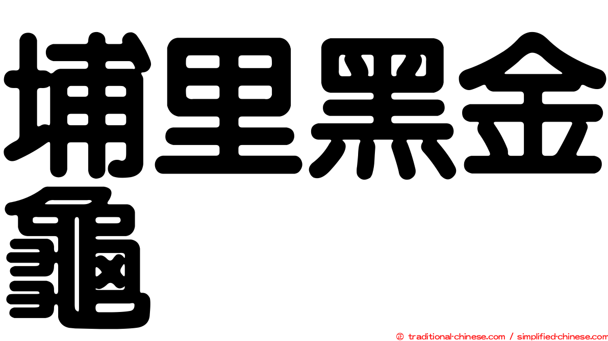 埔里黑金龜
