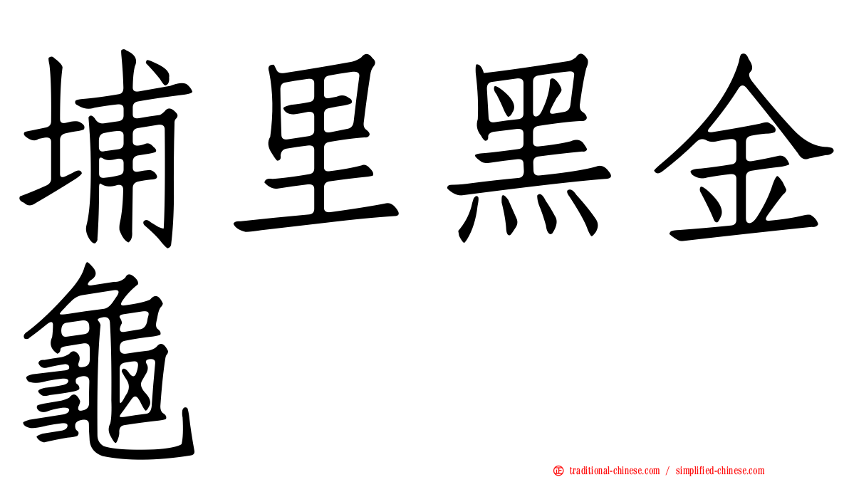 埔里黑金龜