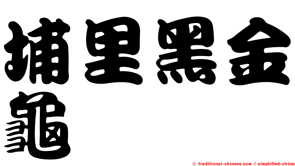 埔里黑金龜