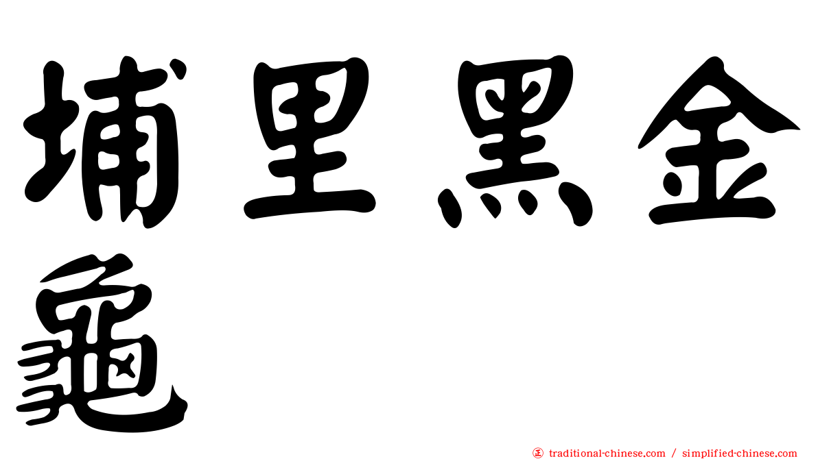 埔里黑金龜