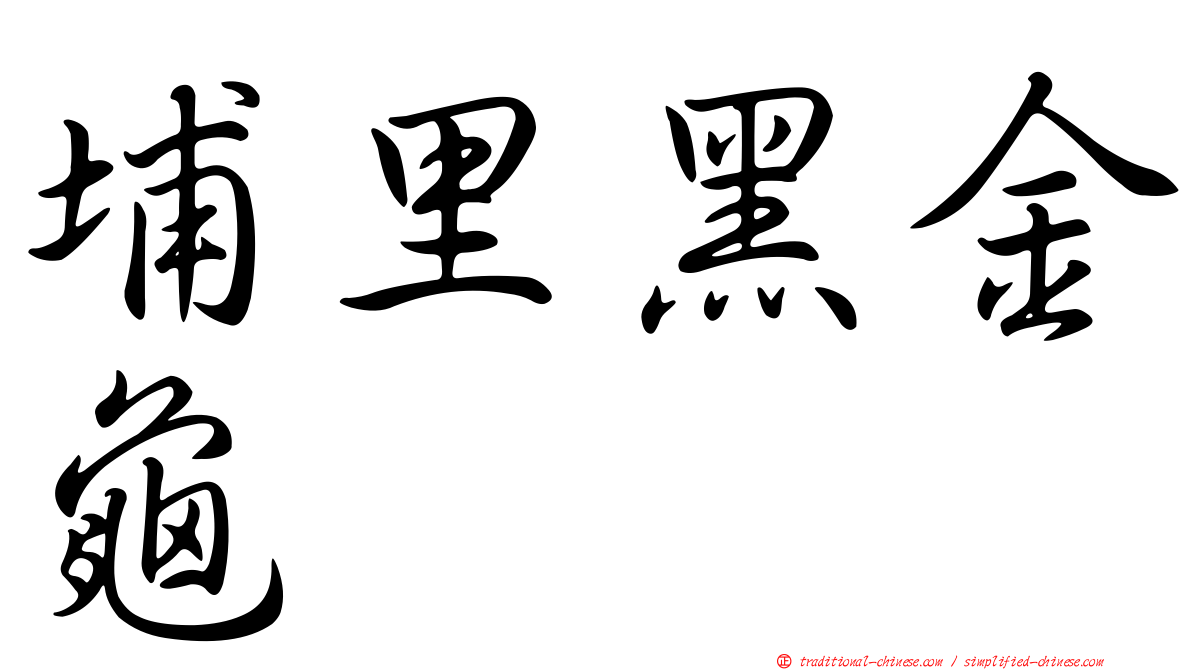埔里黑金龜