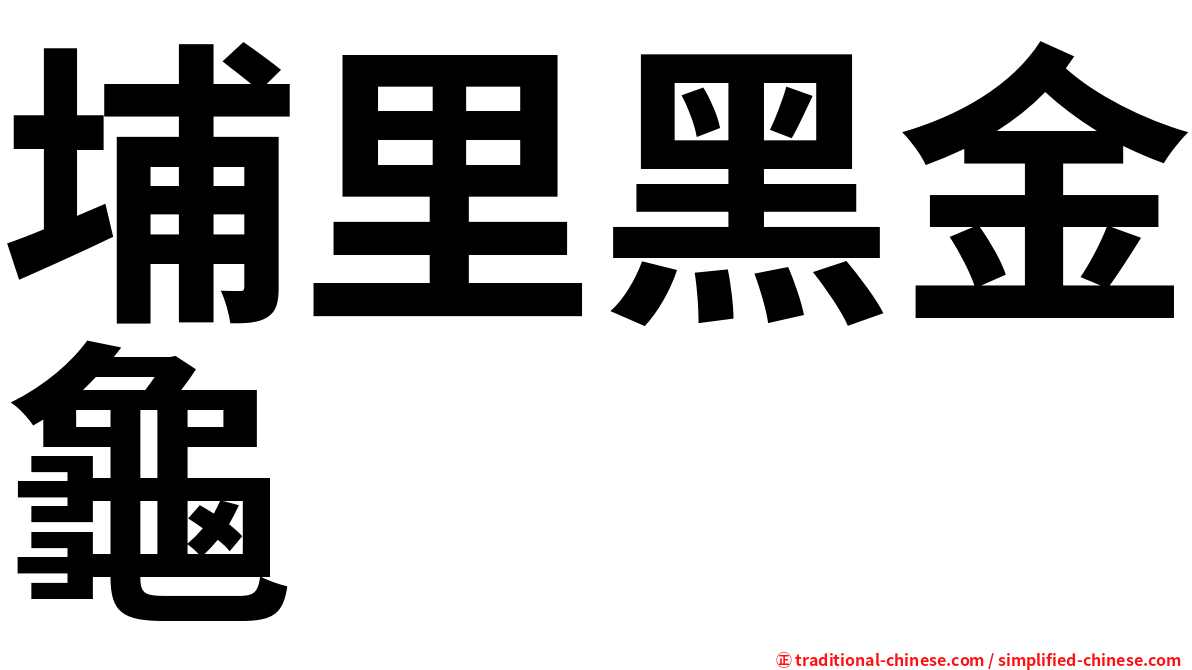 埔里黑金龜