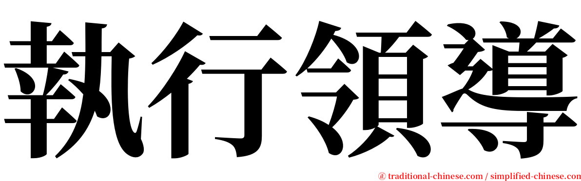 執行領導 serif font