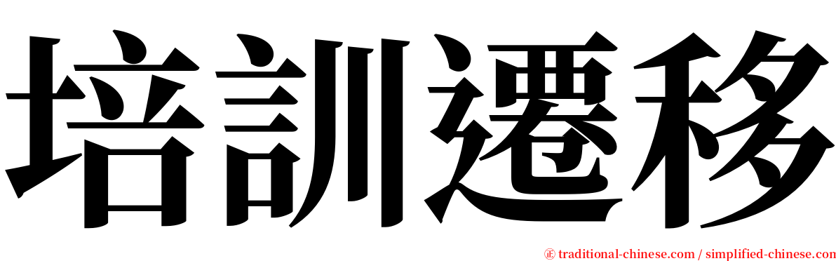 培訓遷移 serif font