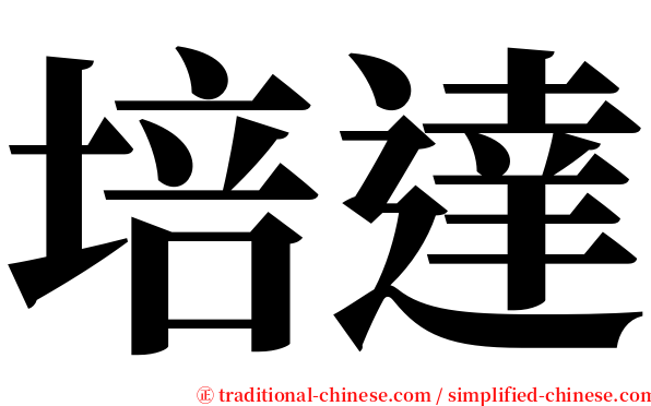 培達 serif font