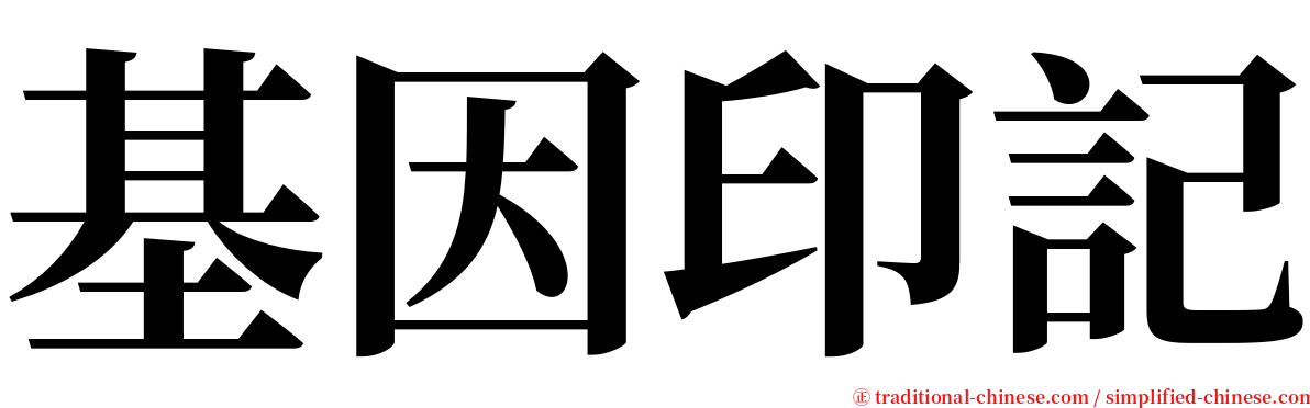 基因印記 serif font